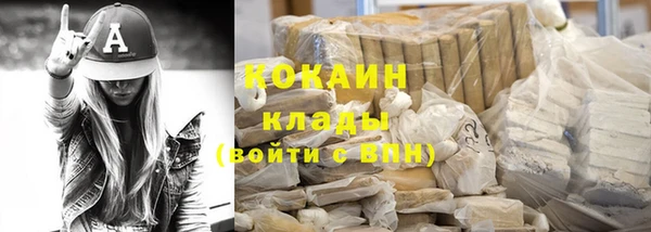стаф Ростов