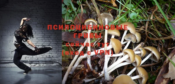 хмурый Россошь