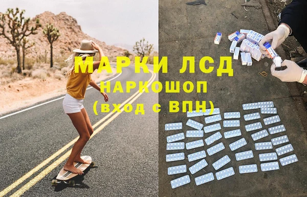 стаф Ростов