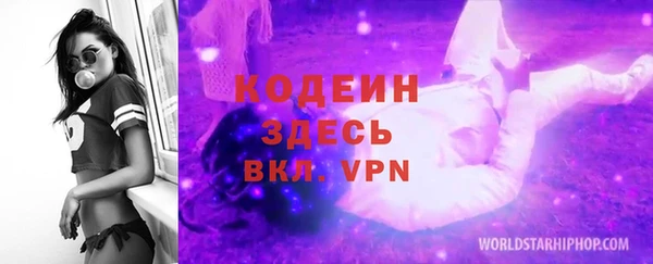 хмурый Россошь
