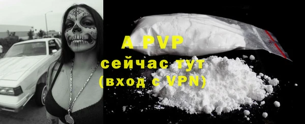 стаф Ростов