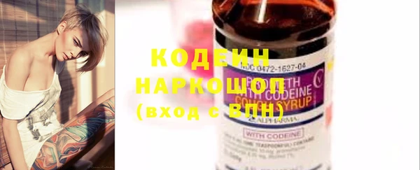 хмурый Россошь