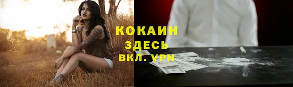 хмурый Россошь