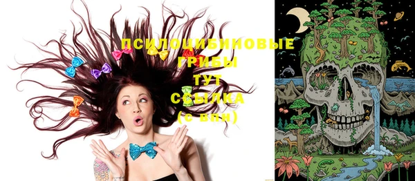 молекула духа Рославль