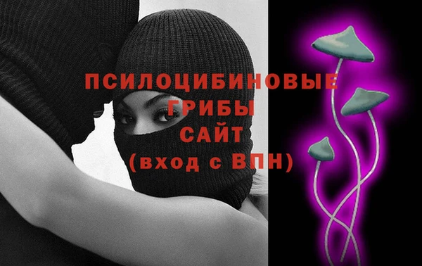 стаф Ростов