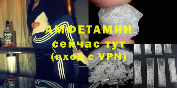 стаф Ростов